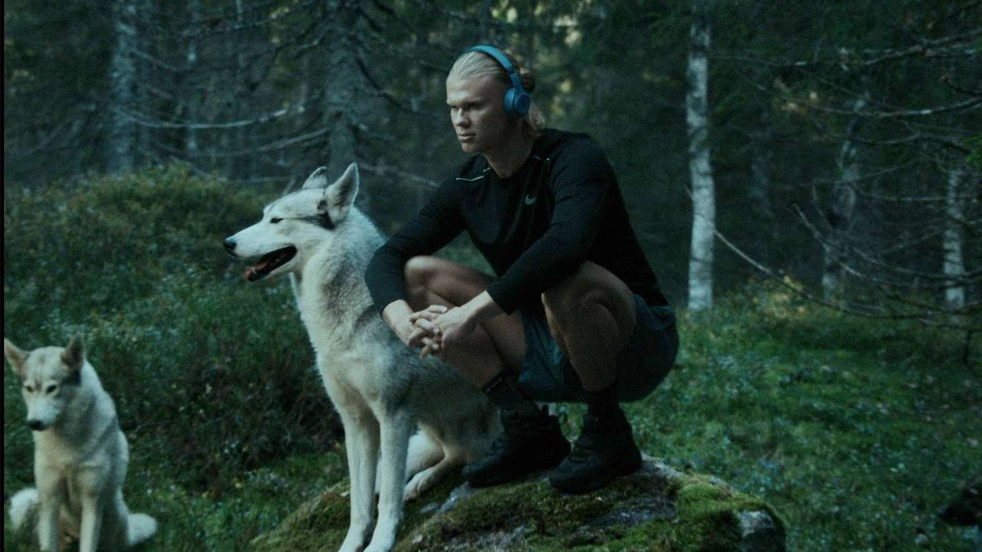 件的深远影 件的深远影