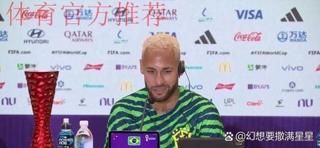 高科技将更利于观赛 巴西世界杯替补席变得透明 高科技将更利于观赛 巴西世界杯替补席变得透明