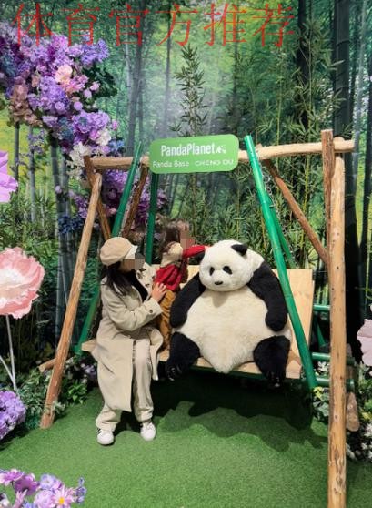 《熊猫说球》第二十三集:规则的精神和调整 《熊猫说球》第二十三集:规则的精神和调整